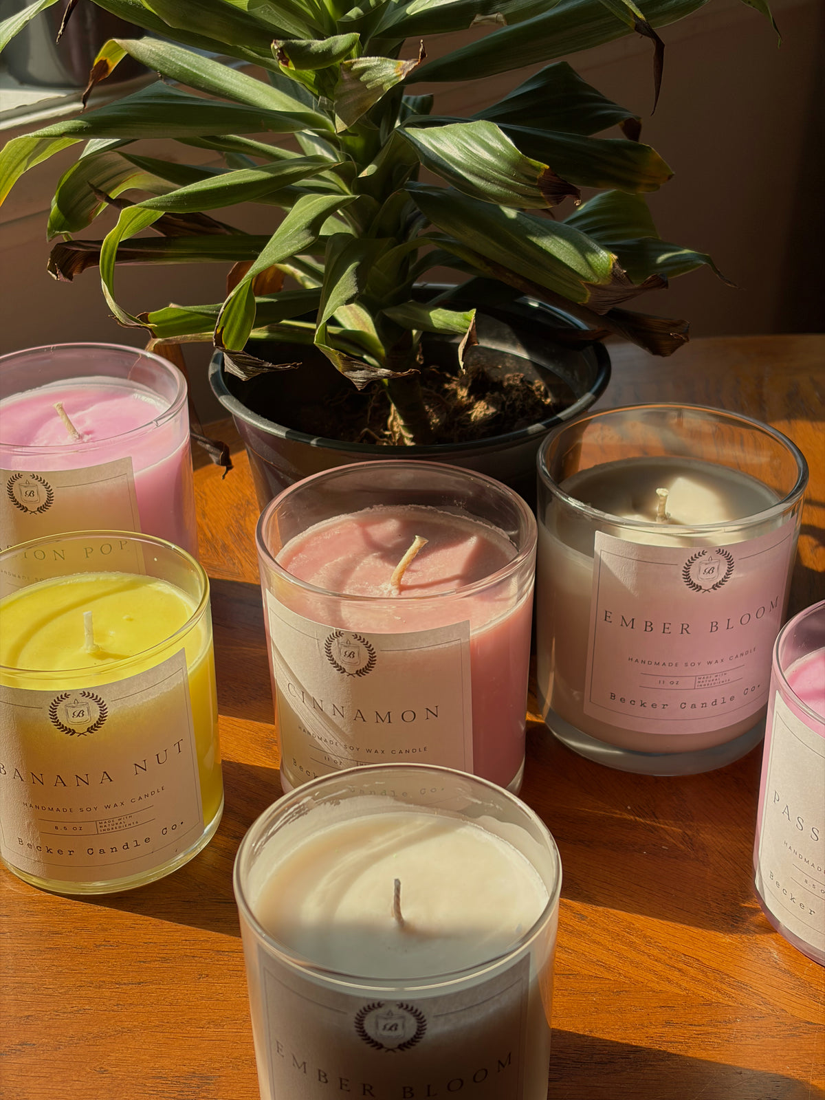 All Scents