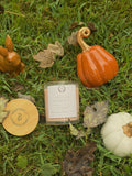 Spiced Pumpkin