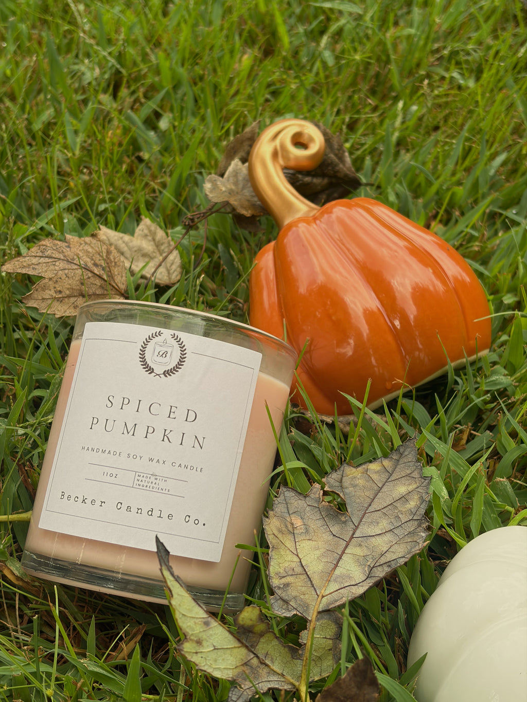 Spiced Pumpkin