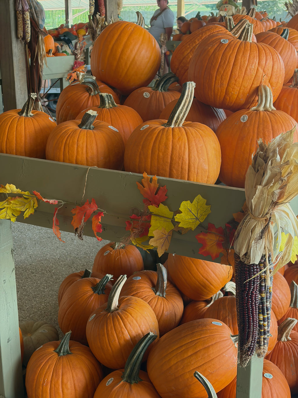 Spiced Pumpkin
