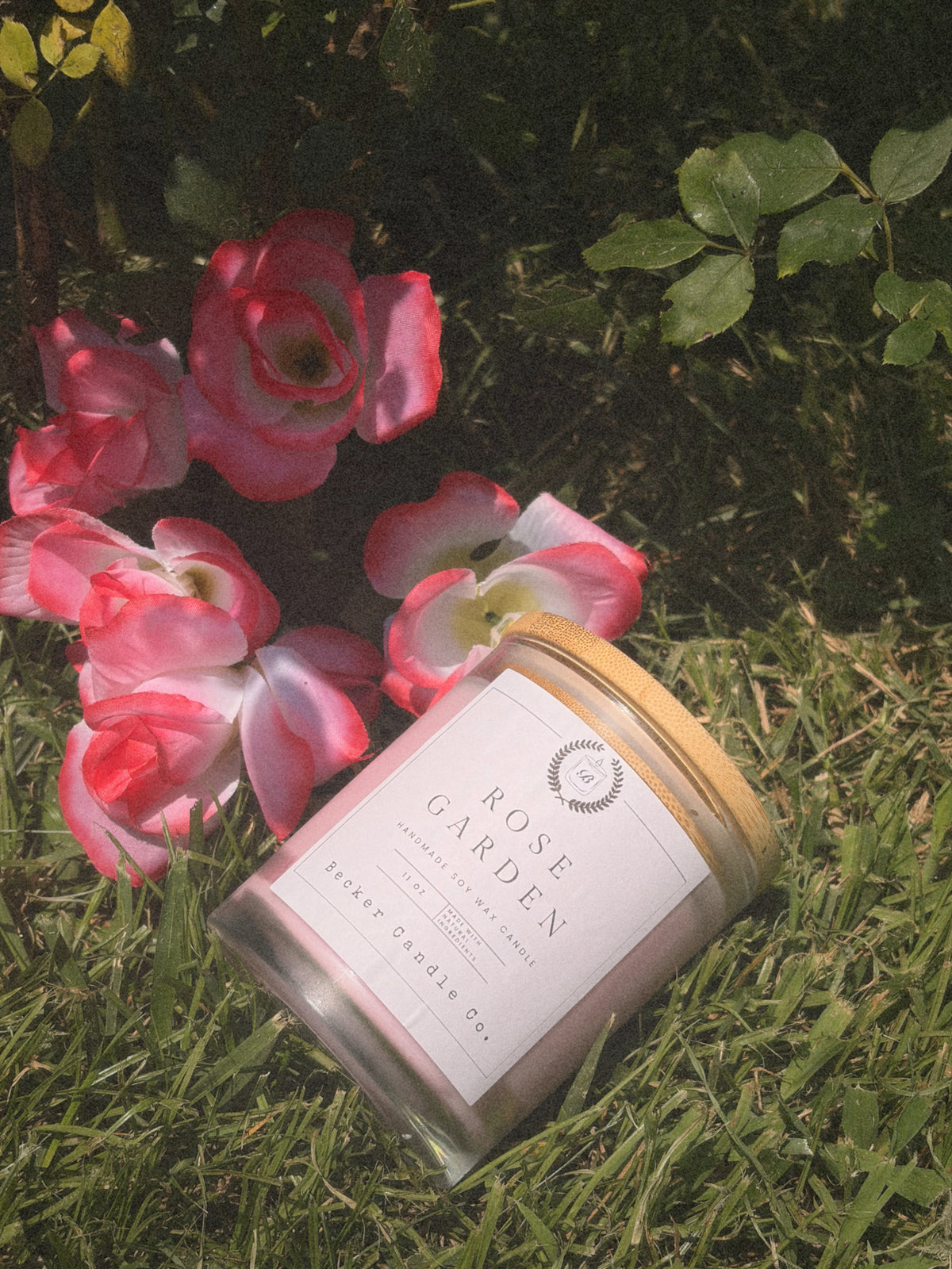 Rose Garden